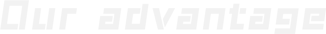我們的優(yōu)勢